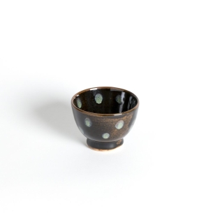 Sencha Tenmoku Plumes Paon