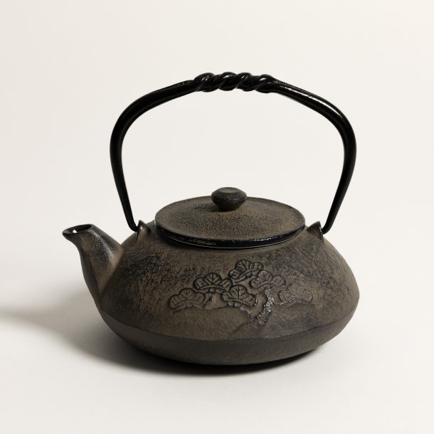 image produit Théière fonte TSURU